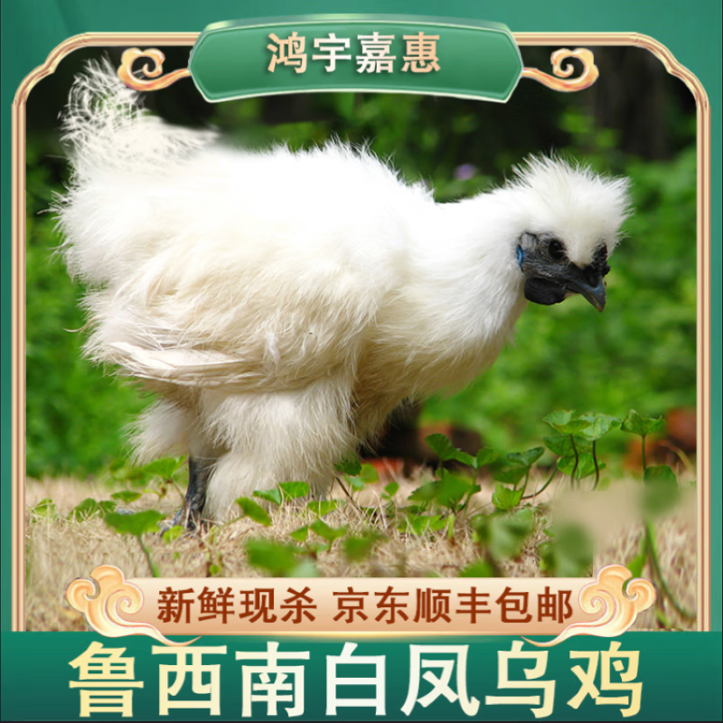 鸡肉历史价格查询工具|鸡肉价格走势图