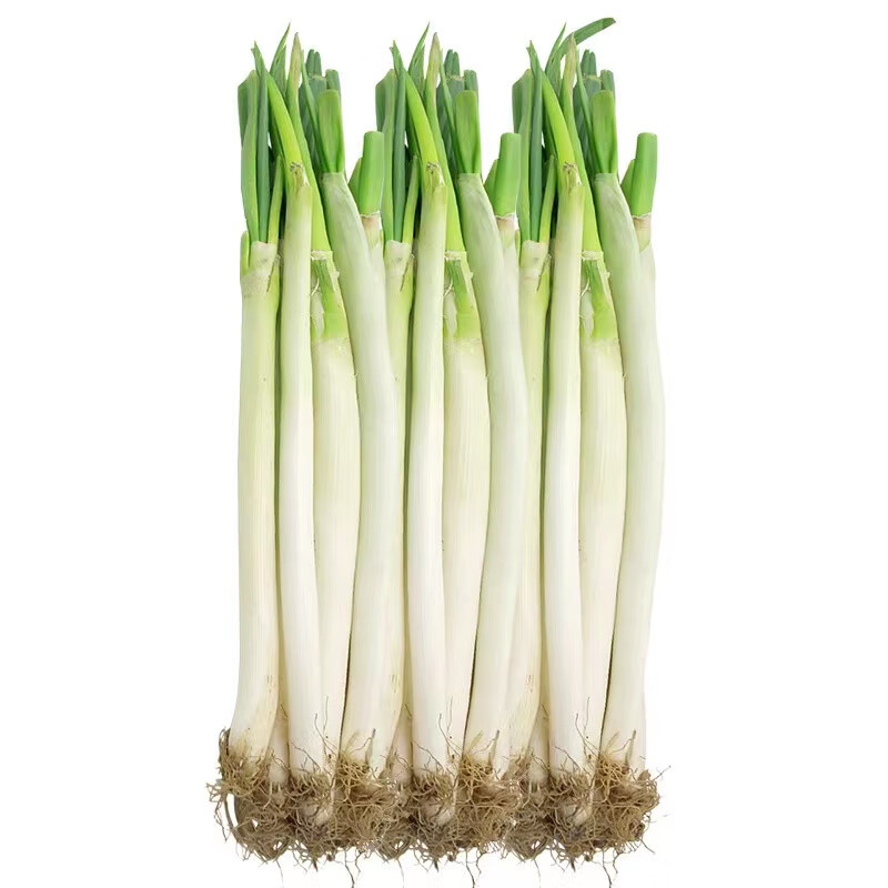 采缇(caiti)山东铁杆大葱新鲜带皮蔬菜5斤原生态嫩葱3斤长甜 500g