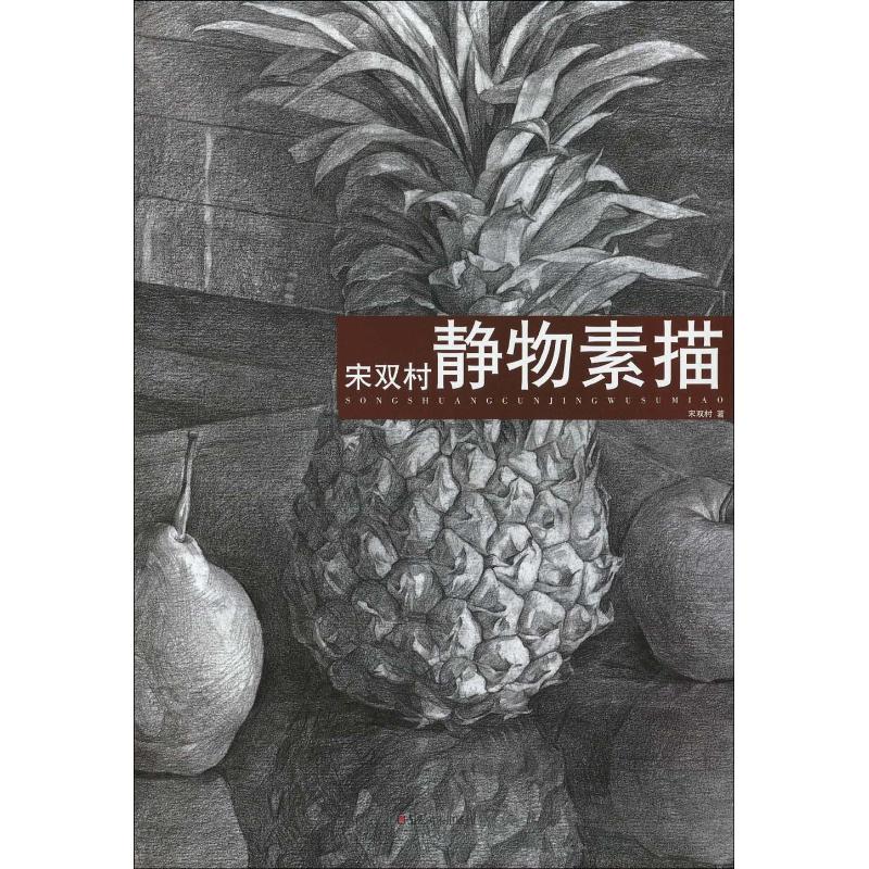 宋双村素描静物 宋双村 书籍