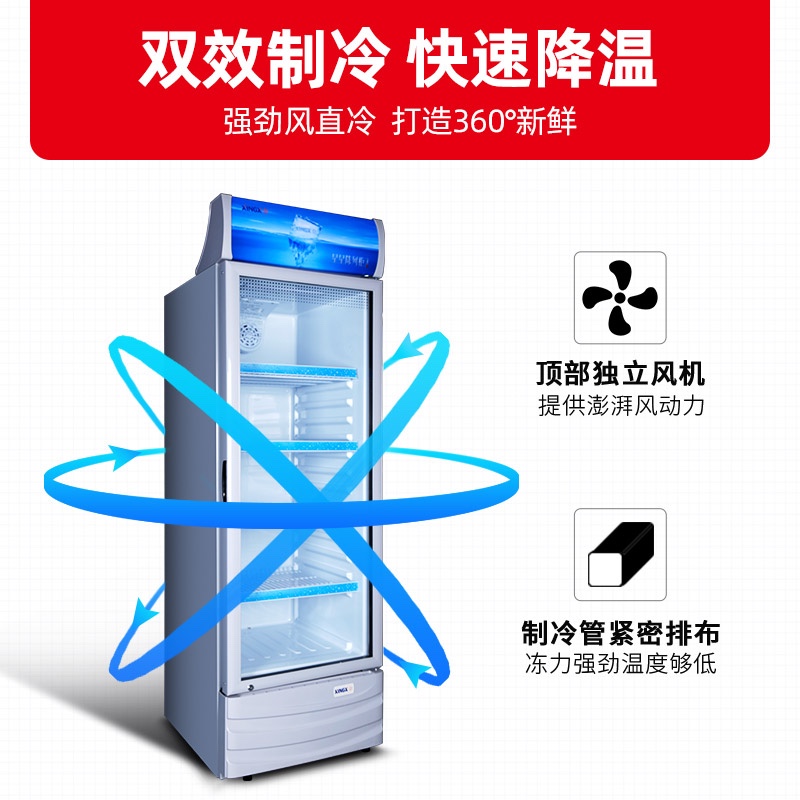 星星（XINGX） 236升 立式玻璃门冷柜 饮料陈列柜 商用冷藏冰箱（银灰色） LSC-236C