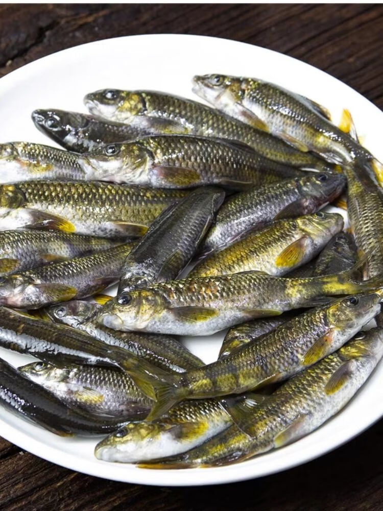 千岛湖新鲜活鱼现杀溪水石斑鱼小杂鱼鲜活光唇鱼小溪鱼溪石斑 1斤规格