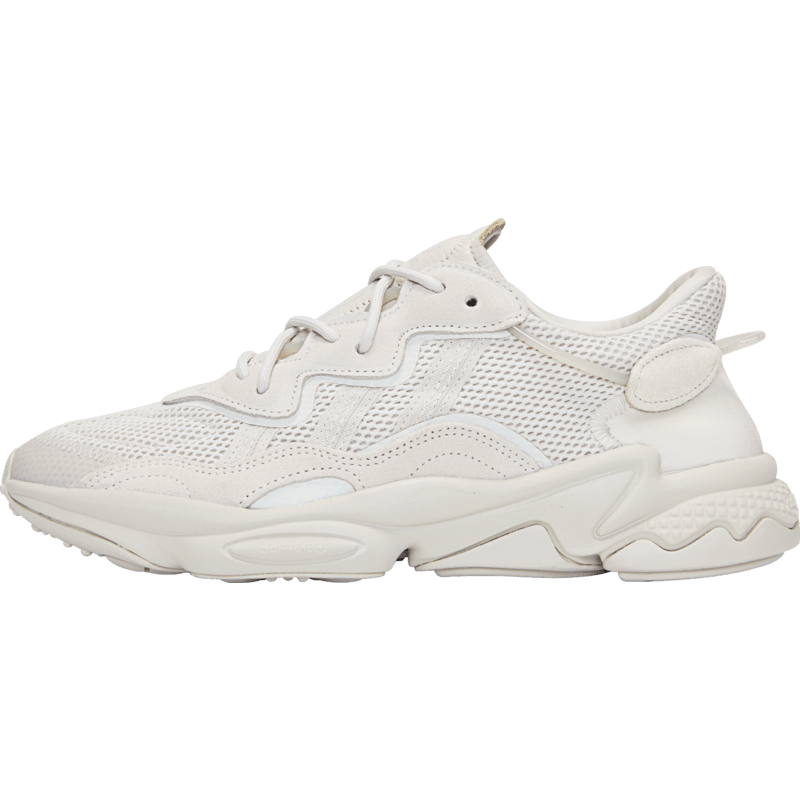 ���ϴ�˹��Ҷ�� ��Ů�����ϵ�Ь FY2023 40.5 ����ͬ�� 494.1Ԫ(����ȯ)