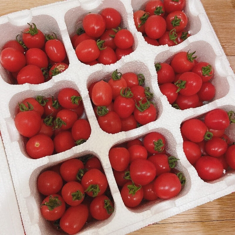 【顺丰包邮】正宗樱桃小番茄贝贝千禧果新鲜水果西红柿圣女果番茄 净重5斤【顺丰+泡沫箱】新鲜采摘