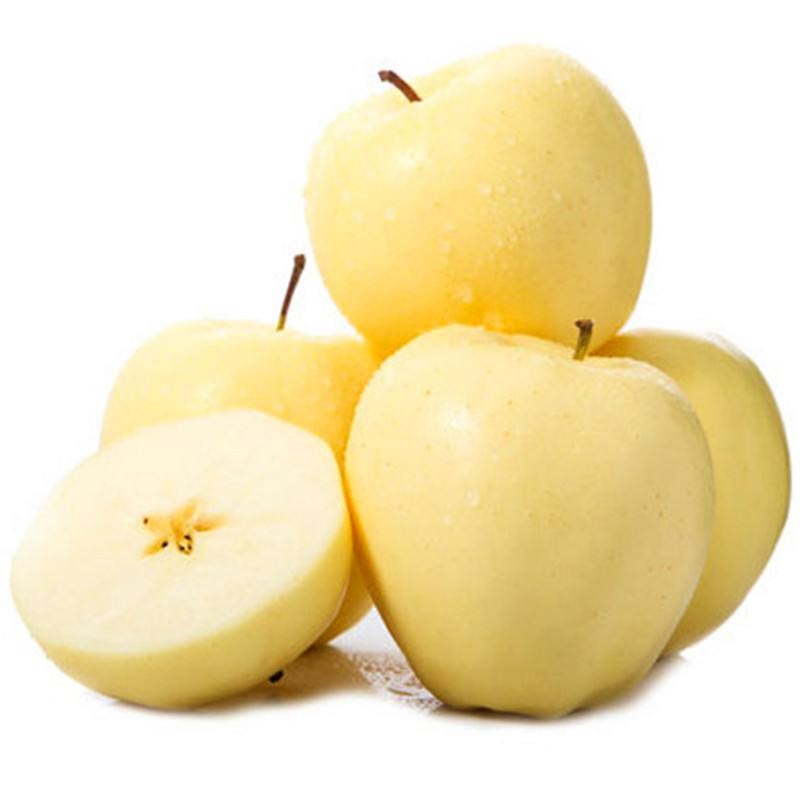 烟台黄金帅苹果 黄元帅苹果 新鲜水果刮泥粉面苹果整箱 12粒礼盒装
