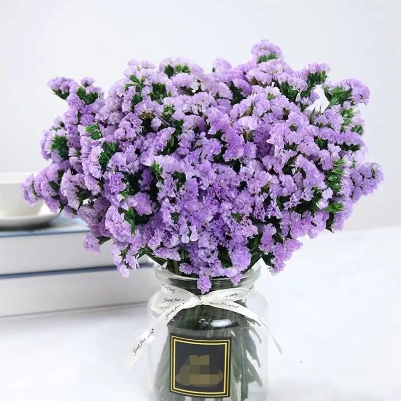 情人节生日礼物 勿忘我 情人草家用办公室水养鲜花 浅紫色勿忘我0
