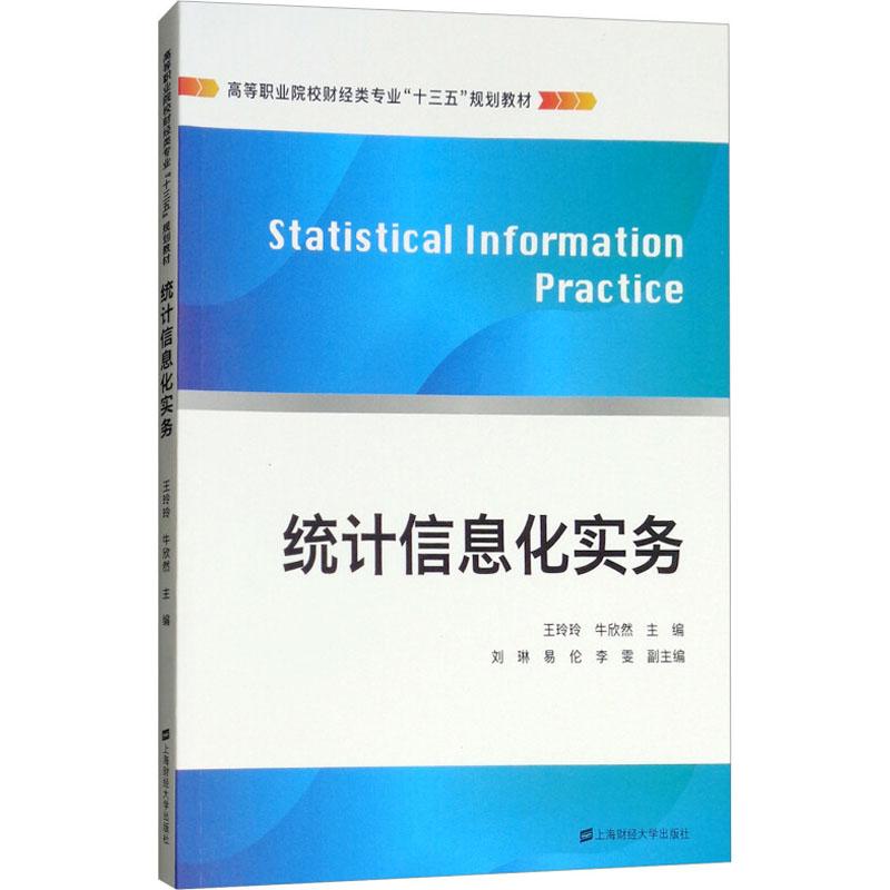 统计信息化实务