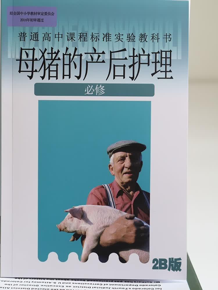 原创恶搞母猪的产后护理笔记本搞笑创意生日生日礼物记事本 一本母猪