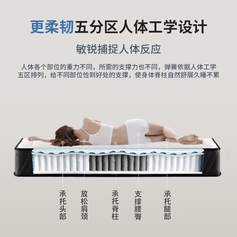 龙翔全拆式水洗记忆棉独立袋装弹簧席梦思软硬垫主卧1.81.5硬家用床垫 A6独袋+豆基+记忆棉+黄麻棕 24CM 2000*2200