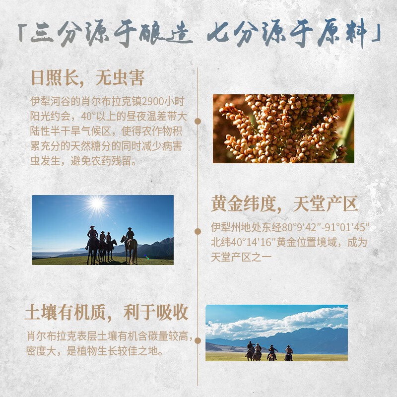 伊力特白酒整箱批发年货送礼新疆特产42度绵柔型伊犁扁瓶酒送礼礼盒 42度 500mL 1瓶 扁瓶特