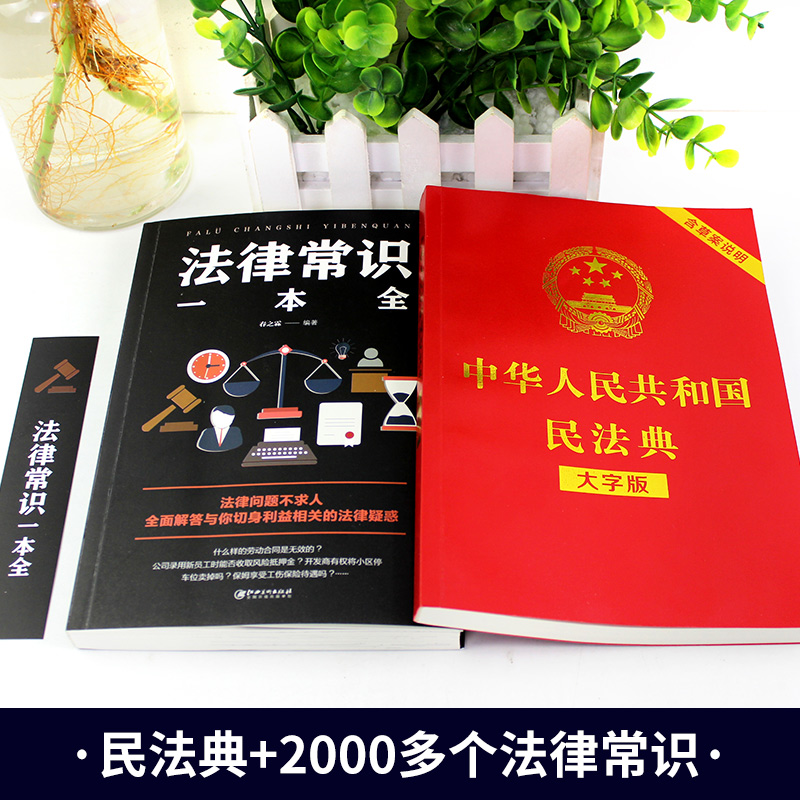 中华人民共和国民法典法律常识一本全全套2020年版中国民法大全书籍