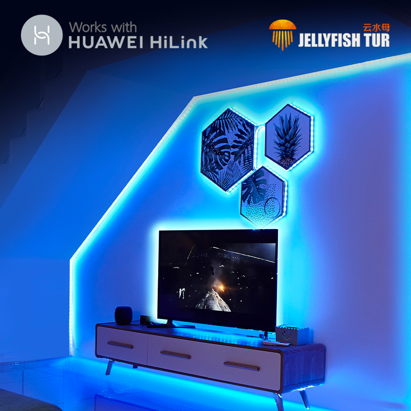 水母云（JELLYFISH TUR） 智能人体感应LED灯带 过道走廊床底楼梯灯条 起夜伴侣 远程控制 1米延长包【不含电源与控制器】