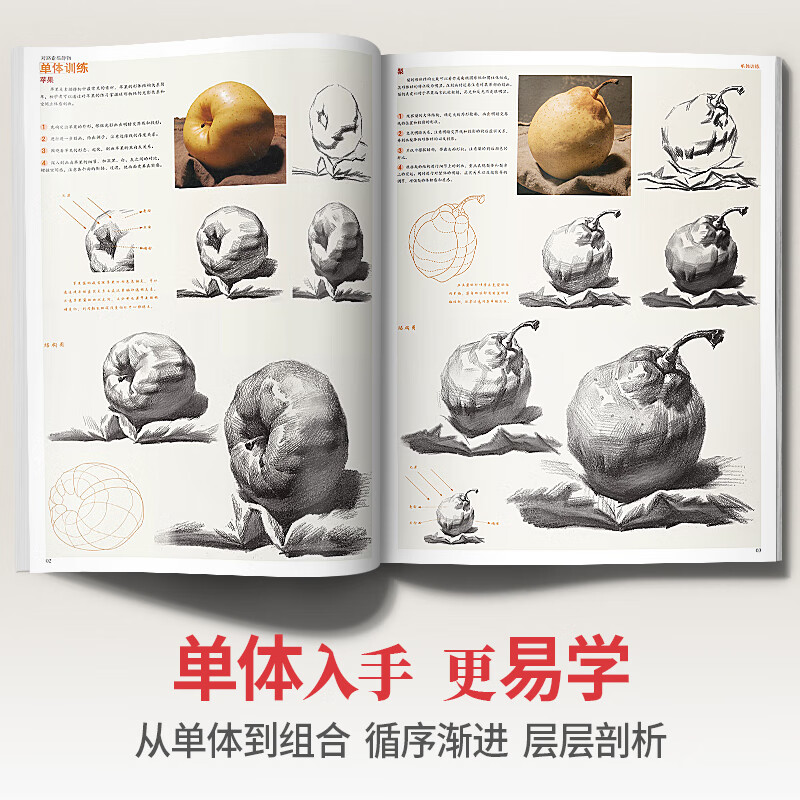 对路素描静物单体组合结构照片画临摹范本基础写生入门考级高考联考