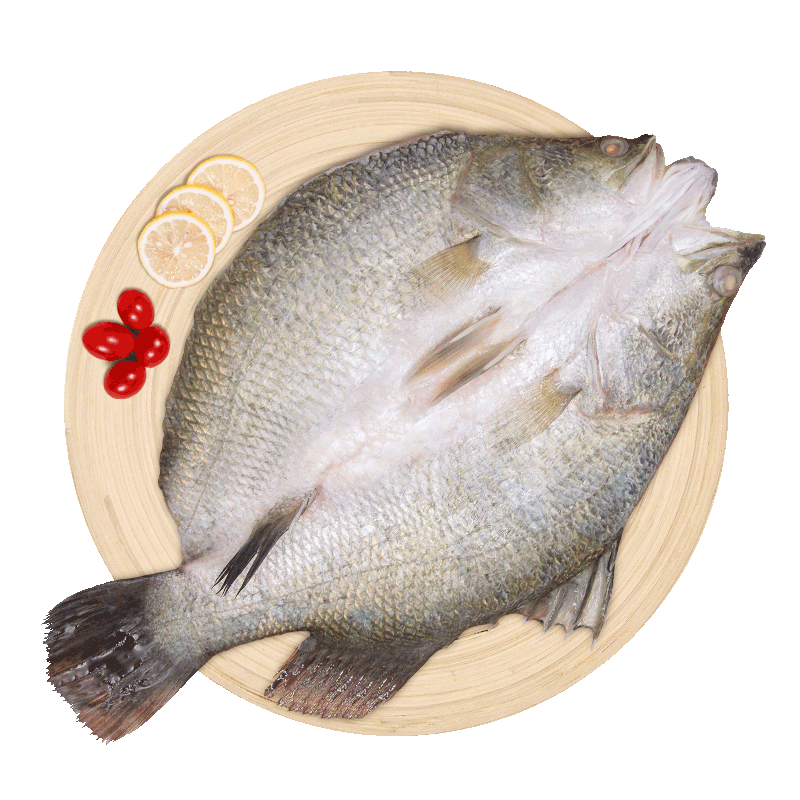 仙泉湖 三去尖吻海鲈鱼 500g*1条 净膛冷冻刺少肉厚 生海鲜食