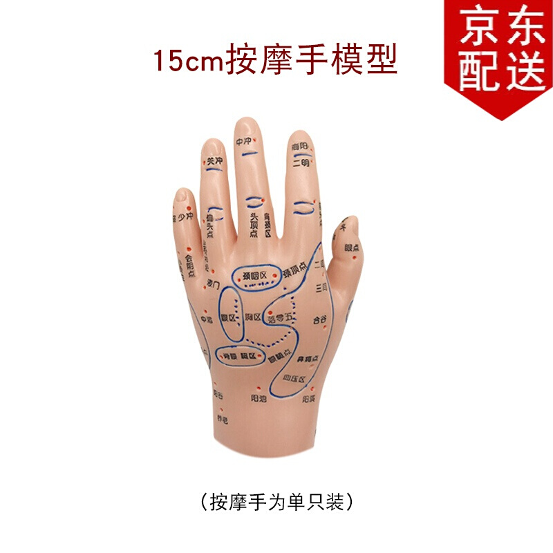 大号手部模型高清大手反射区模型手掌手背推拿针炙点穴位图手足耳 15