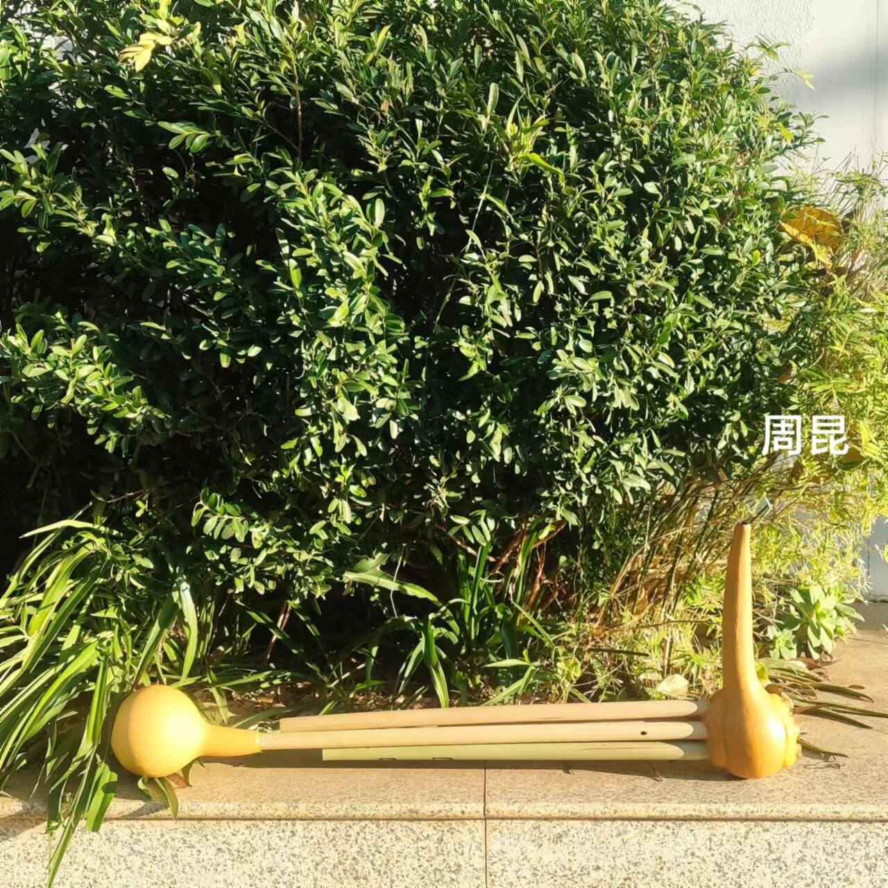 周昆笙 芦笙 葫芦笙乐器 一尺四 五管 丽江纳西族  双调 铜舌天然葫芦