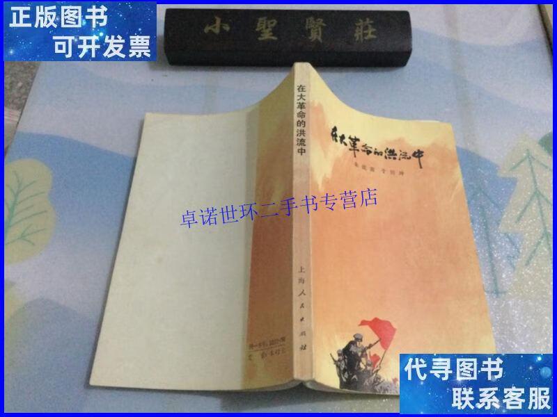 【二手9成新】在大革命的洪流中 1977年一版一印 /朱道南口述 上