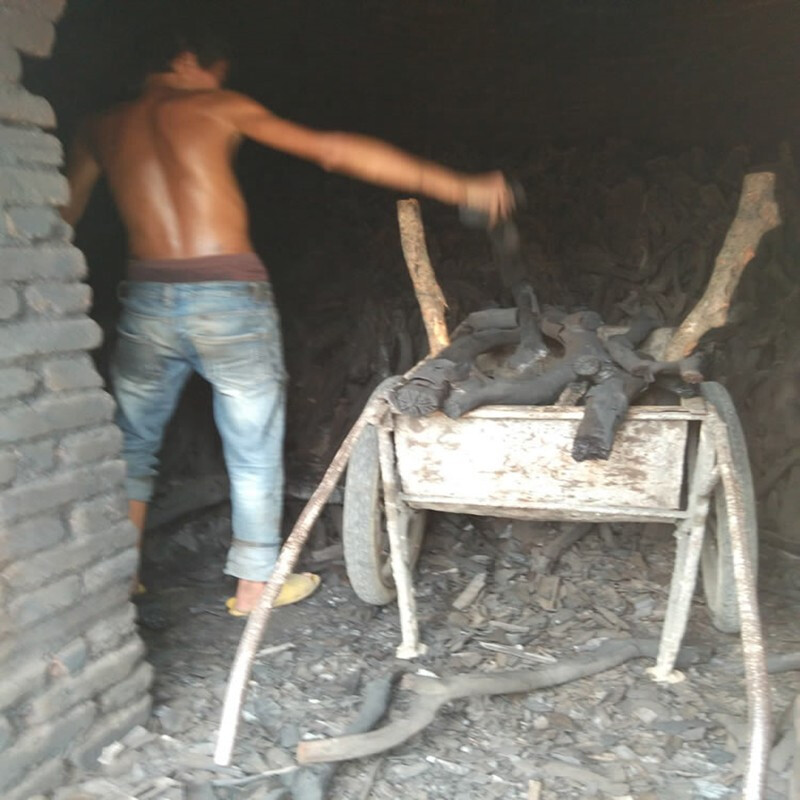 嘉辉原荔枝木炭碎炭木炭烧烤炭果木碳烧烤专用碳环保炭 5斤装大块的