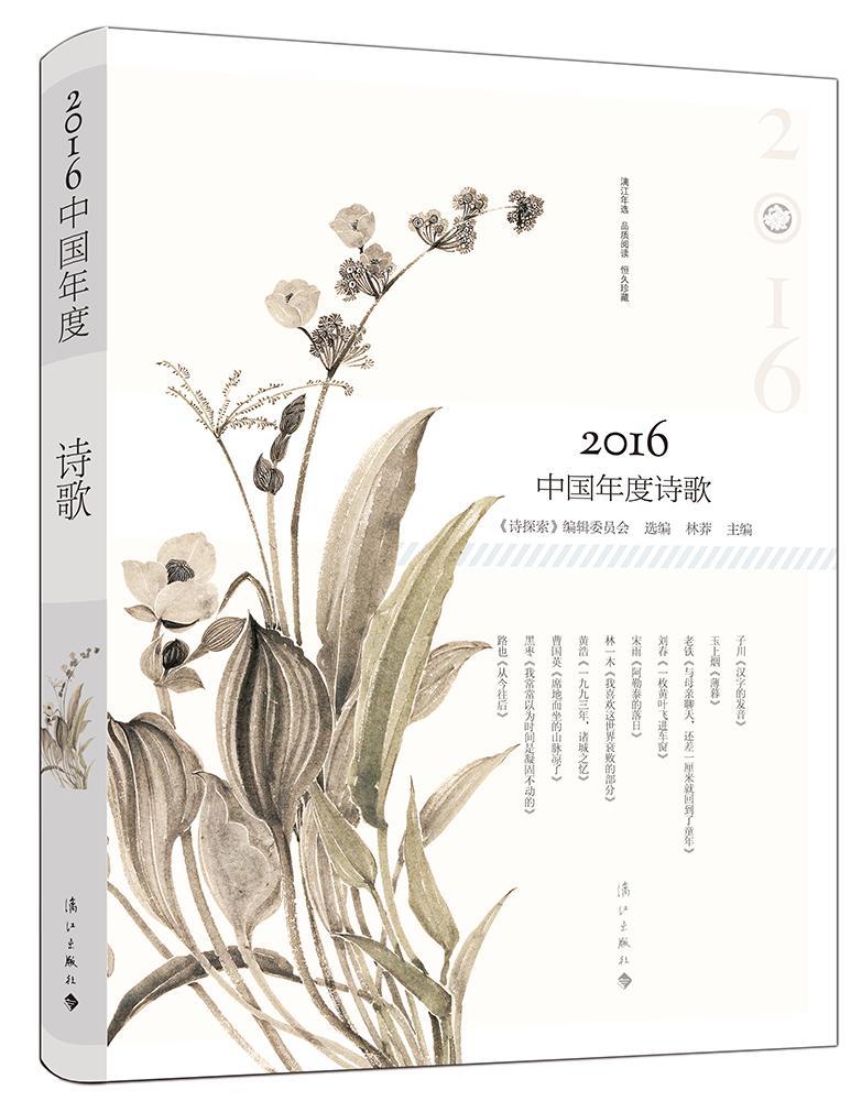 16中国年度诗歌文学新诗诗集中国当代 图书