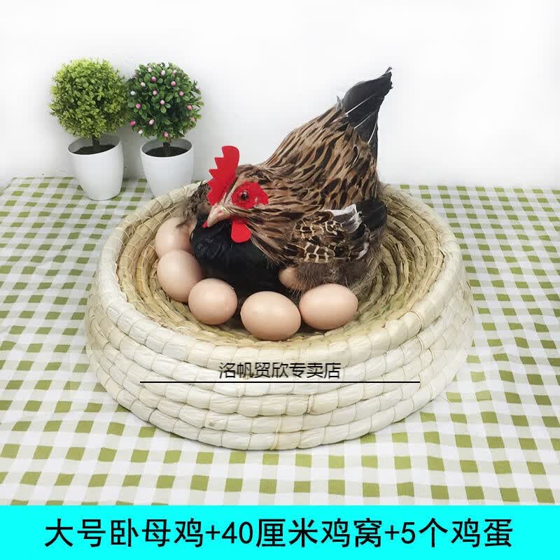 泉讨【新品】仿真母鸡动物标本孵蛋鸡模型下蛋母鸡摆件超市鸡蛋工艺品