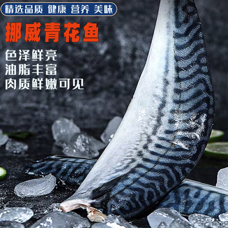 秋颜挪威青花鱼大西洋鲭鱼新鲜冷冻青花鱼片海鲜水产 端午送礼佳品