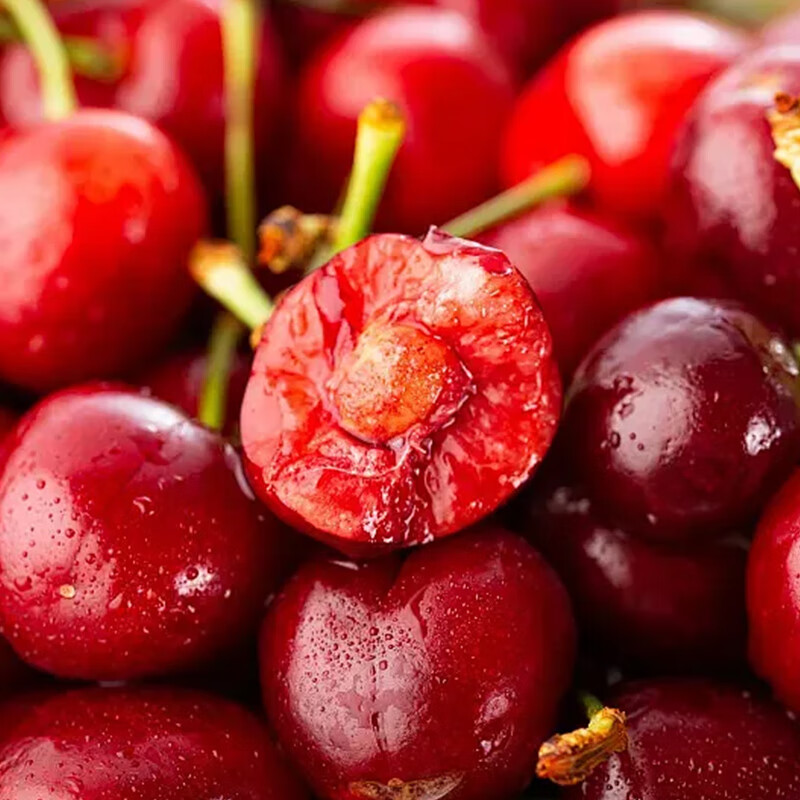 京农超【头茬预定】山东大樱桃 新鲜水果国产车厘子 时令生鲜水果端午节 4斤(净重) 精选果 单果22-26mm
