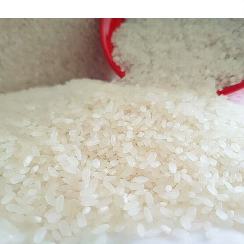 虎钢馋东北大米珍珠米真空装斤散装黑龙江正宗稻花香长粒香半 500g