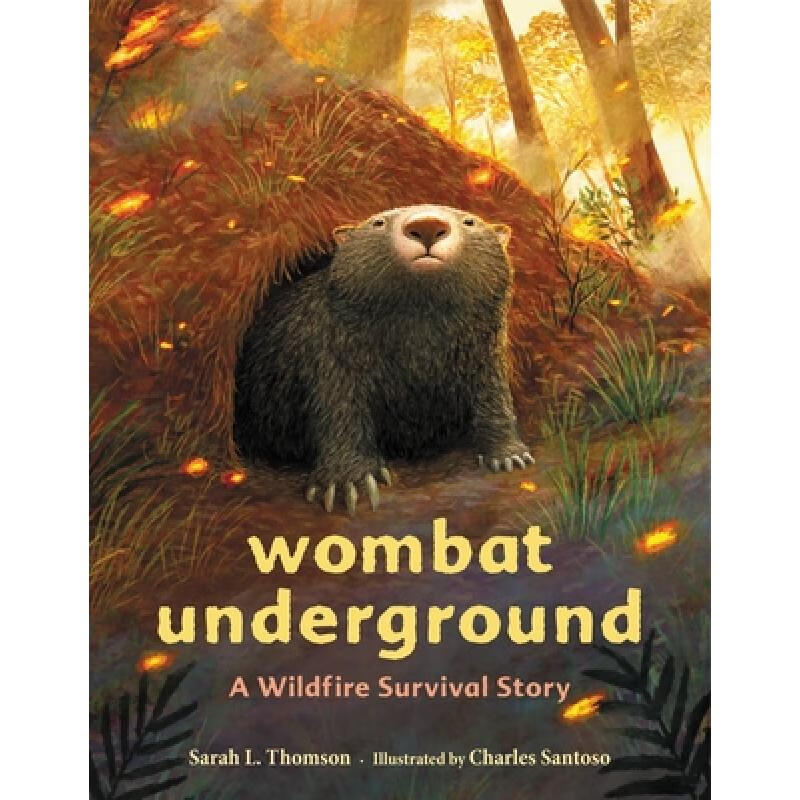 【2周达】Wombat Underground: A Wildfire Survival Story