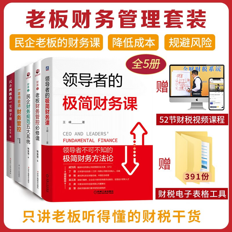 老板财务风险管理套装 领导者的极简财务课+老板财务管控必修课+民企财务规范五大系统+一本书看透财务管控+民企两账合一 5册套装