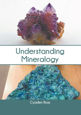 预订 understanding mineralogy