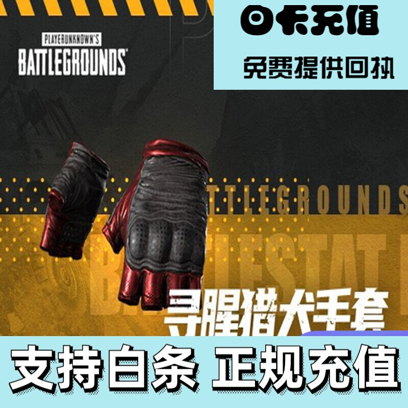绝地求生steam吃鸡寻腥猎犬套装皮肤cdk手套嘴套夹克治安队pubg支持代