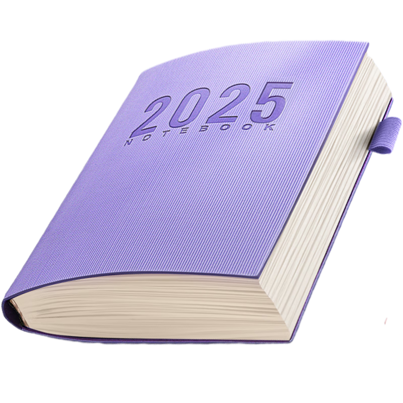 ���ڲ��������� 2025���ճ̱��ʼǱ���365�춨�ƱʼǱ��ľ�Ч���ֲ���±��ռǱ�������¼���칫��Ʒ�ɶ��� �����ơ���ҫ��/360ҳ A5