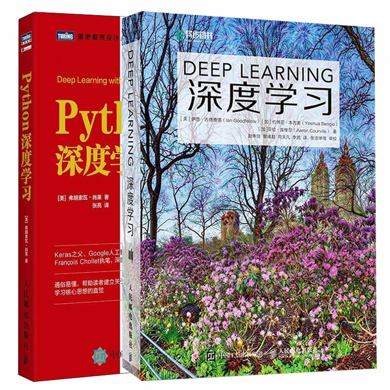 python深度学习 深度学习 2册 tensorflow神经网络pytorch深度学习