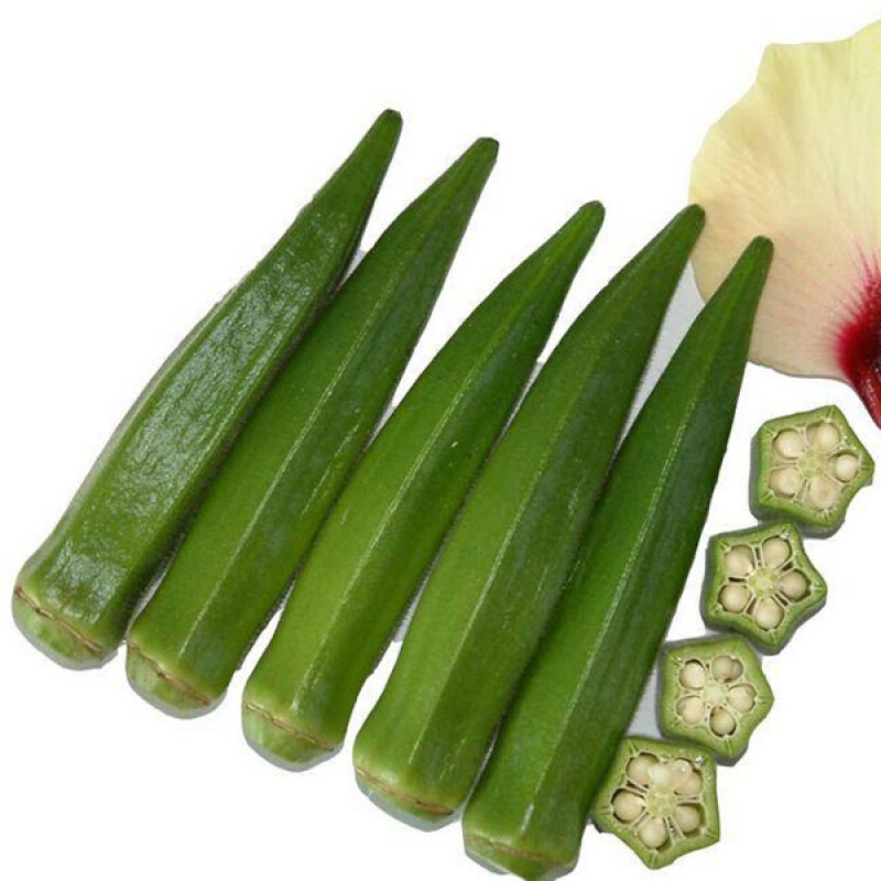 周金祥 黄秋葵种子羊角葵种孑红秋葵种籽营养蔬菜种子阳台庭院四季种