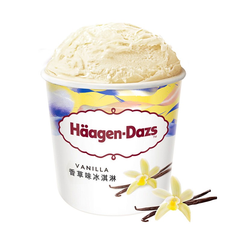 哈根达斯 香草口味 冰淇淋  473ml