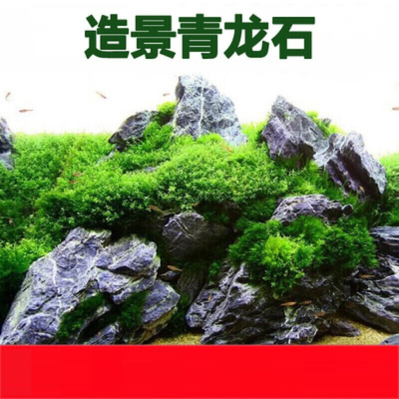 真果沁 原石 青龙石 鱼缸造景石头水族装饰水草造景草缸造景素材 酸洗