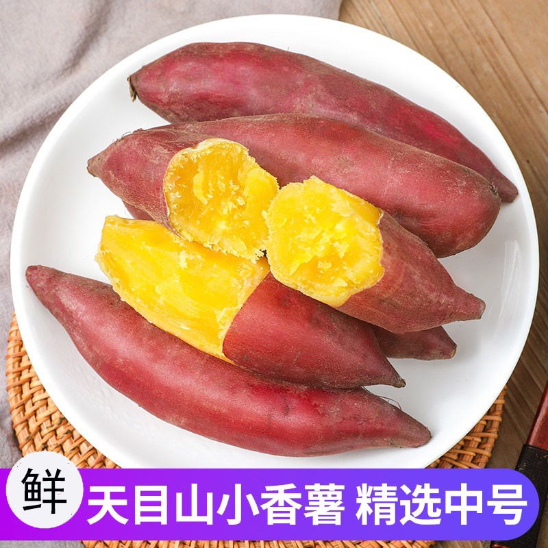 舅甜果蔬臨安天目山板栗紅薯（現(xiàn)挖現(xiàn)發(fā)） 新鮮時令農(nóng)家自種地瓜小香番薯 5斤 中果