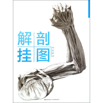 四肢解剖-解剖挂图【正版书籍】