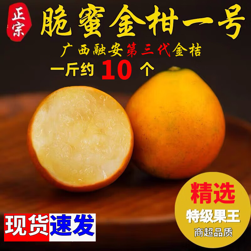 驰振广西融安脆蜜金桔第三代新鲜脆皮金桔脆甜应当季水果橘子年货送礼 一号果王5斤约10个/斤【礼盒装】