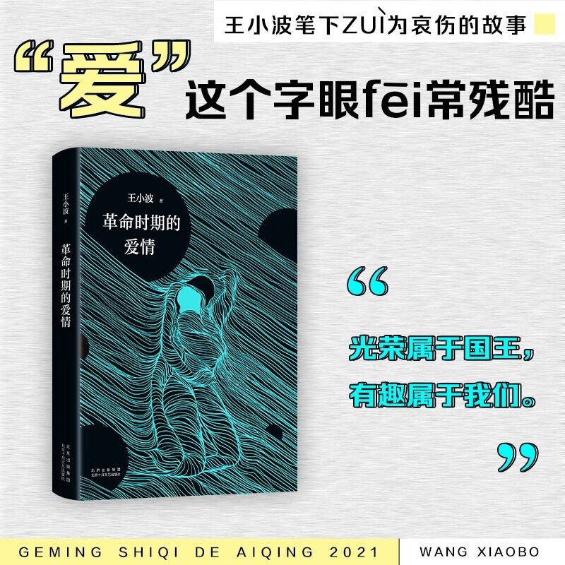 时期的爱情(2021版)王小波著长篇小说