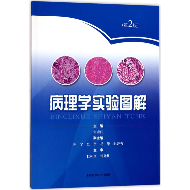 病理学实验图解(第2版) 何彦丽 主编 书籍