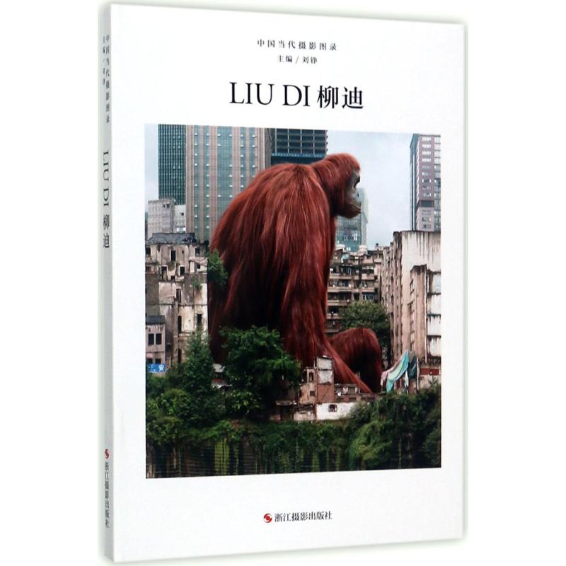 中国当代摄影图录柳迪 刘铮 主编 书籍
