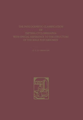 预订 the phylogenetic classification of diptera cyclorrhapha