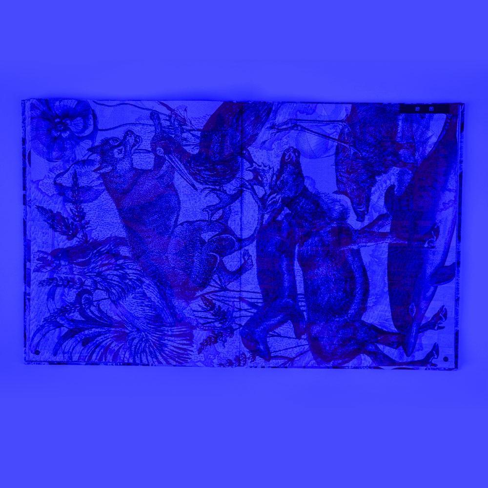 发现世界(三色滤镜科普读物,从玛雅文明到埃菲尔塔,从冰山到雨林)