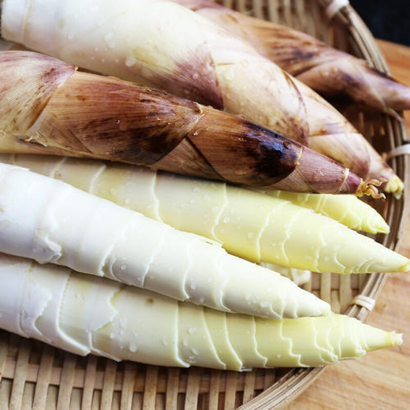 绿鲜森春笋临安现挖竹笋新鲜雷笋蔬菜生鲜 大笋5斤净重 (每斤4-6根)