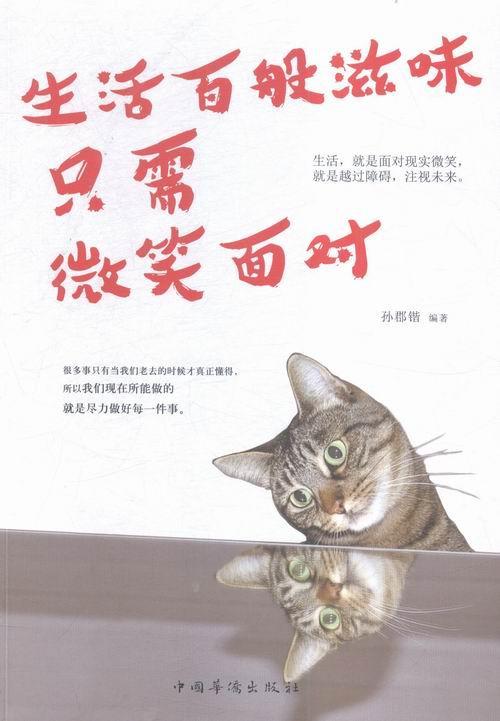 生活百般滋味只需微笑面对 励志与成功 人生哲学  图书