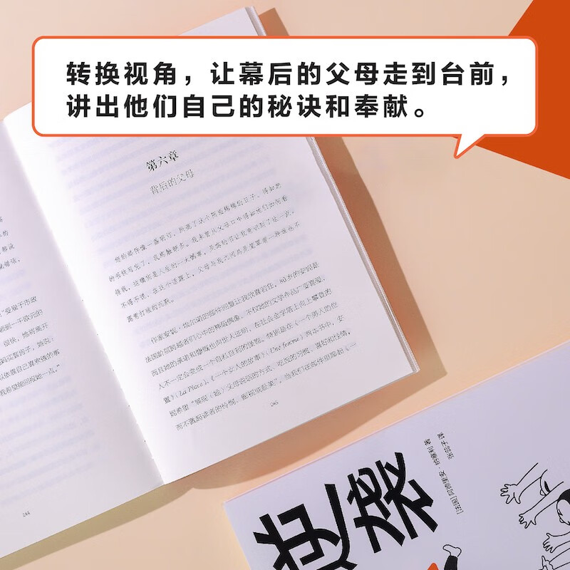 译见丛书~逆袭：16个法国家庭的案例详情图