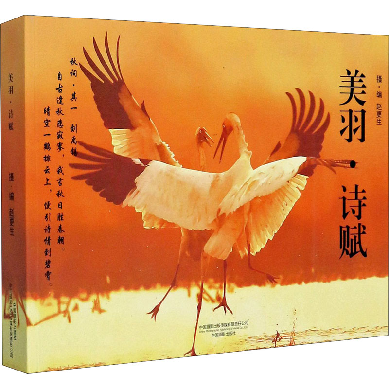 美羽·诗赋 赵更生 书籍