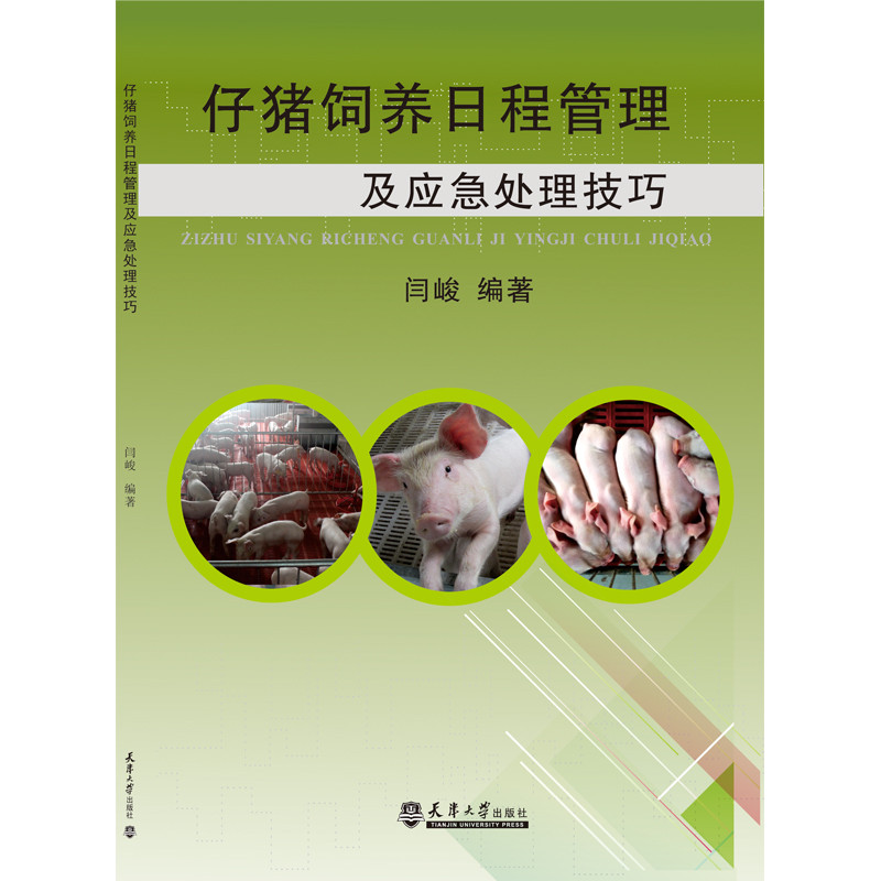 仔猪饲养日程管理及应急处理技巧