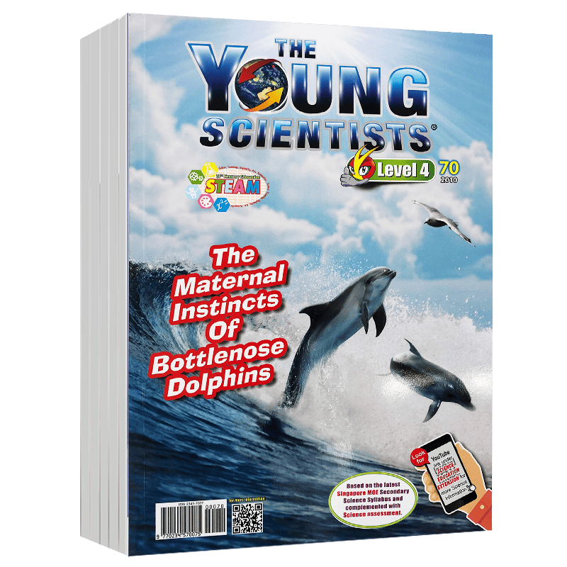 Young Scientists 小小科学家4阶 12-14岁新加坡科学漫画杂志期刊探索世界英语读物 2020年10月刊