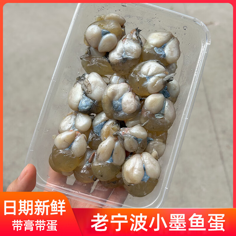 新鮮帶膏小墨魚蛋烏賊卵咸味烏魚蛋腌制海鮮目魚蛋 小墨魚蛋200克*1盒